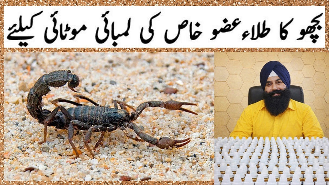 slider image 1621243260e1af0c20-0